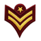 Personalice el diseño del emblema del diseño del bordado para la promoción